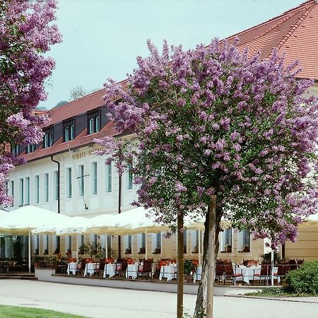 Schloss Hotel Dresden Pillnitz Esterno foto